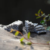 Moss Micro Landscape Ornament